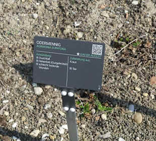 Hinweistafel zum eingepflanzten Kraut