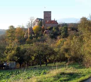 Die Gamburg ob der Tauber
