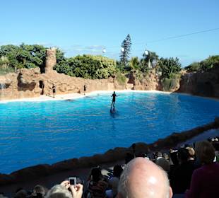 Loro Parque 