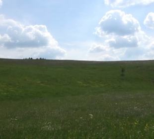 Wetterstation Großes Rinnental