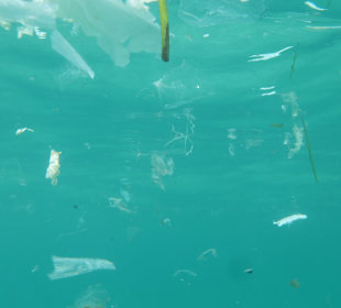 Südwestküste Mallorca