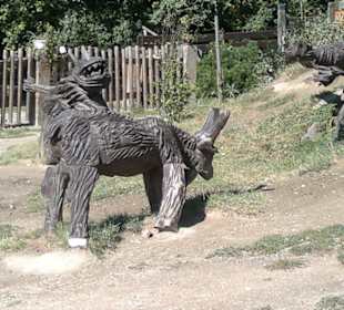 Zoo Brno