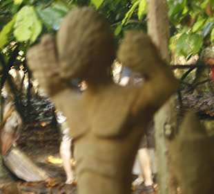 Impressionen in der Plantage