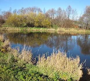 Weiher südwestlich Ortsrand