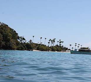 Bacardi Insel - Samána - Dominikanische Republik - DomRep Li