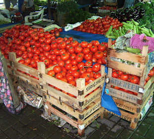 Leckere Tomaten