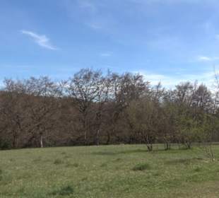 Rundweg am Beutenlay