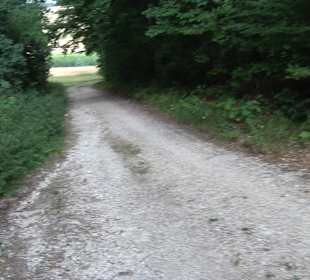 Tour entlang der Traifelbergfelsen