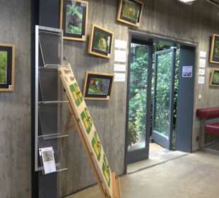 Subtropenhaus