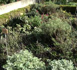 Klostergarten - Garten der Pilger Oberelchingen