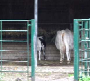 Tierpark 