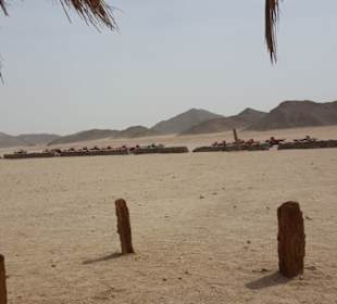 Quad Tour durch die Wüste