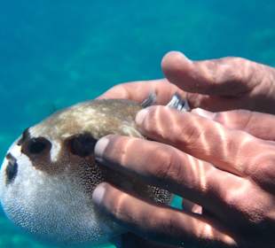 Danke Yasser für das Bild!