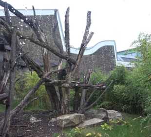 Tierpark 
