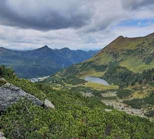 Wandern Donnersbachwald