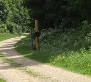 Phäno-Pfad Aichstetten