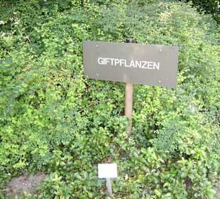 Zum Giftgarten