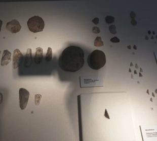 Theodor Zink Museum