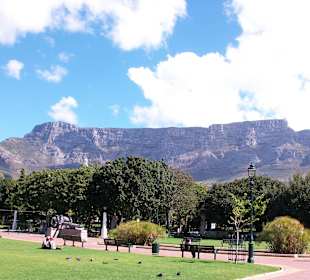 Der Tafelberg Park gegenüber Vom Nelson Hotel