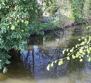 Dorfrundgang Wienhausen 