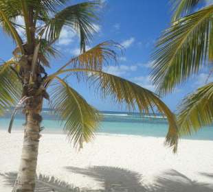 Palmenstrand auf Saona