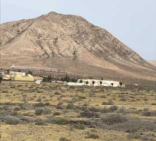 Busausflug Costa Calma