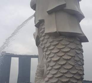 Merlion MBS