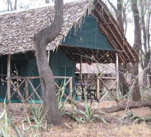 Pattersons Safari Camp