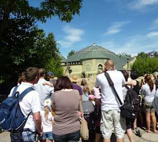 Viele Zoobesucher wollten Ludwig sehn 