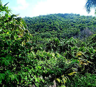 Ausblick von der Höhe