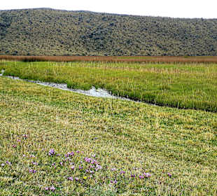 Cotopaxi Nationalpark