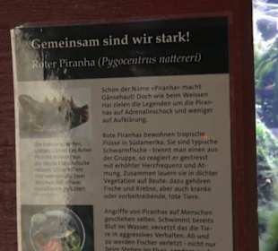 Botanischer Garten der Universität Zürich