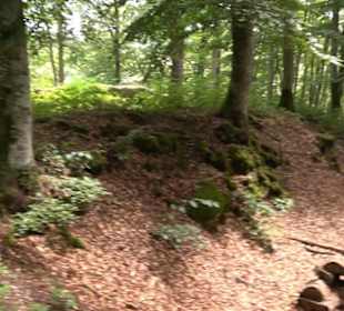 Hochgeträumt Premiumwanderung