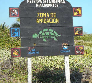 Schildkrötenschutzgebiet