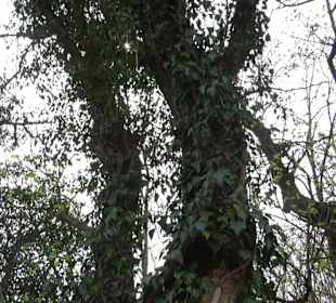 Wanderung rund um das Rusenschloss Gerhausen