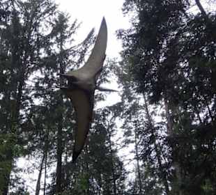 Dinosaurier Museum Altmühltal