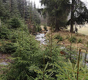 Wandern Altenberg