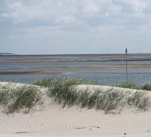 Wandern Norddorf auf Amrum