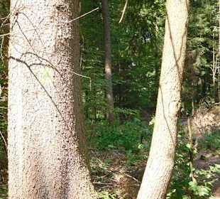 Weg zum Klettersteig