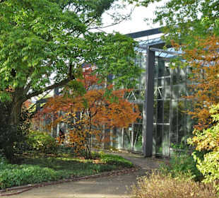 Die Tropengewächshäuser in "Planten un Blomen"