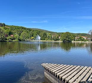 Forellenteich Ilsenburg