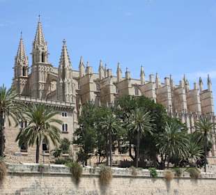 Kathedrale in Palmma