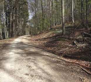 Wanderweg Hochgehkämpft