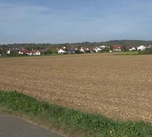 Wanderung zur Burgruine Liebenau