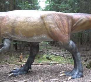 Dinosaurier Museum Altmühltal