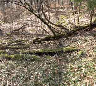 Geologischer Lehrpfad Kirnbachtal
