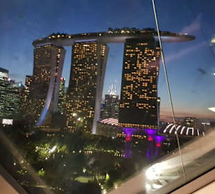 Cloud Forest Singapur