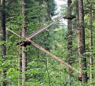 Waldklettergarten Atreenalin Dornstetten-Hallwange