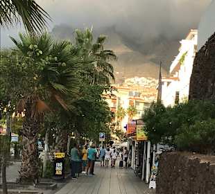Stadtrundgang Costa Adeje