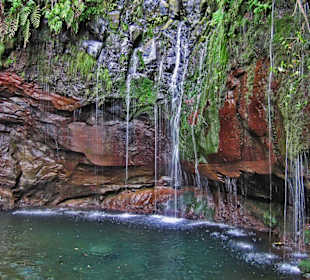 Nature Meetings - Madeira Walking - 25 fontes